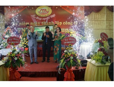 Anh Quang Cao1