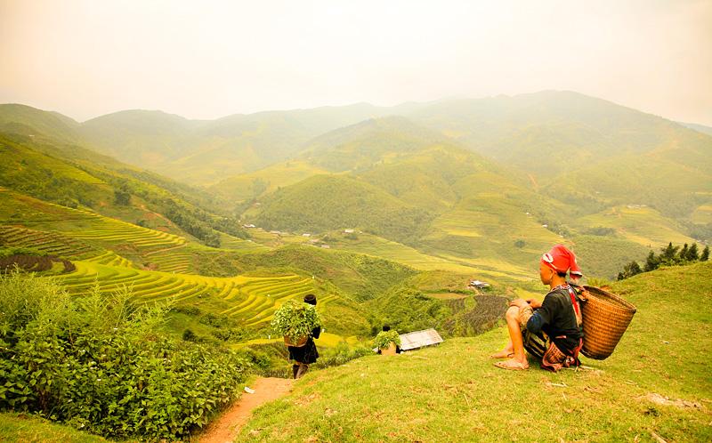 Tour: Sapa - Cát Cát - Hàm Rồng - Tà Văn - Bãi đá cổ 3 ngày Tour: Sapa - Cát Cát - Hàm Rồng - Tà Văn - Bãi đá cổ 3 ngày